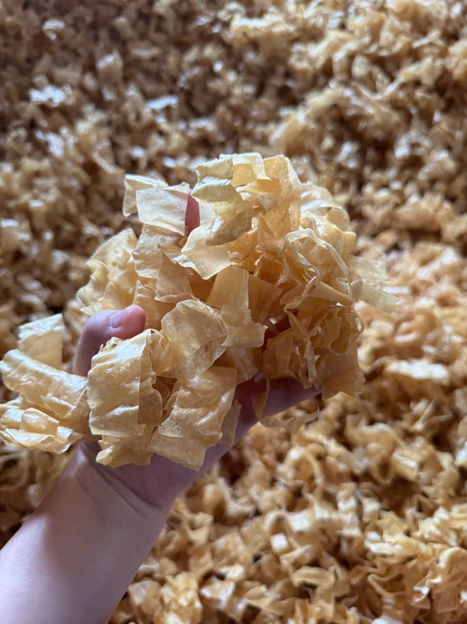 Mì da đậu/Mì váng đậu